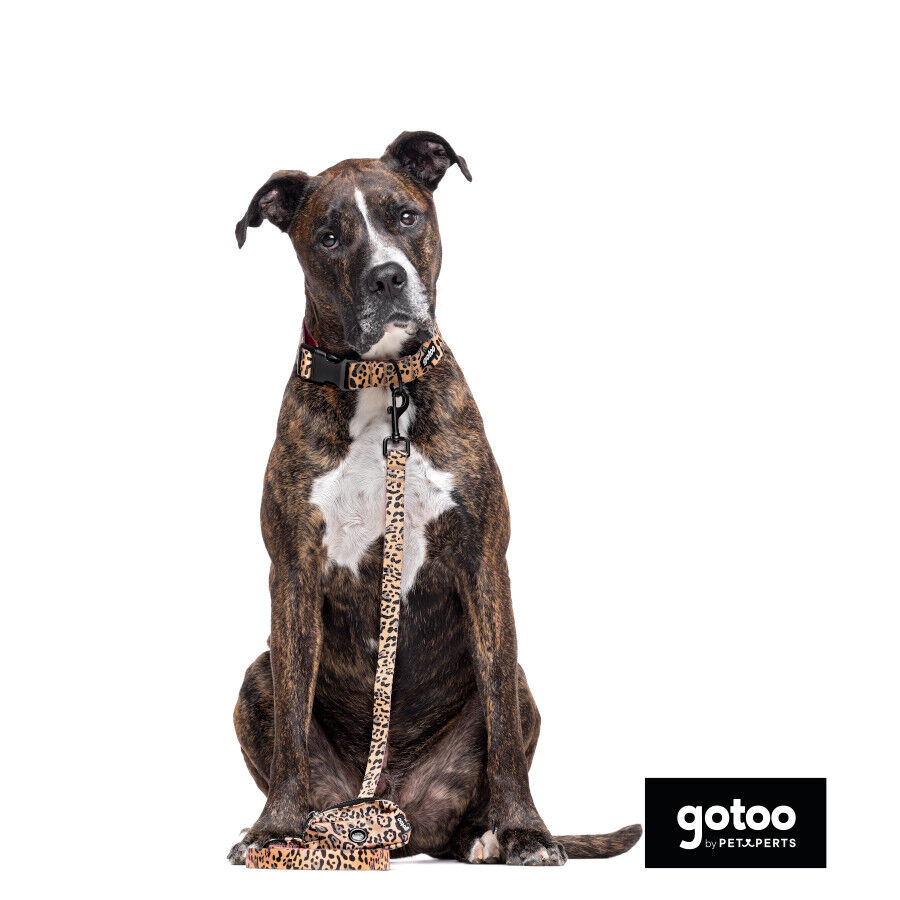 Gotoo Collar estampado leopardo para perros, , large Imagen numero 5