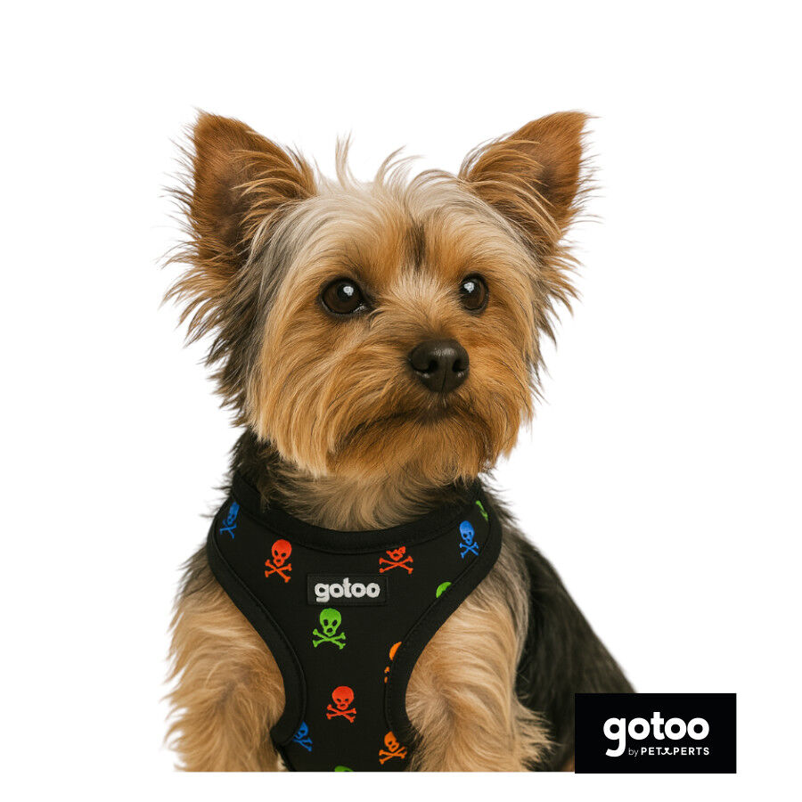 Gotoo Arn&eacute;s ajustable estampado calavera negro para perros, , large Imagen numero 2