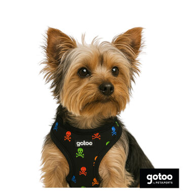 Gotoo Arnés ajustable estampado calavera negro para perros