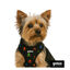 Gotoo Arnés ajustable estampado calavera negro para perros, , large indicador imagen numero 2