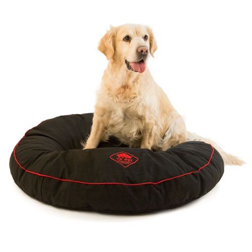 Cama viscoelástica online perro kiwoko