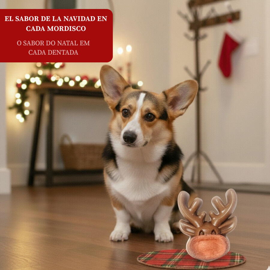 Wonder Christmas Galleta Reno Navideña para perros thumbnail