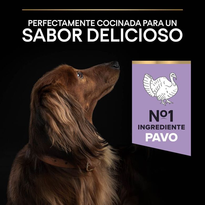 Pro Plan Adult Small y Mini Digestión Pavo pienso para perros thumbnail