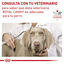 410 g Royal Canin Veterinary Sensitivity Control Mousse de Pollo y Arroz lata para perros, , large indicador imagen numero 3