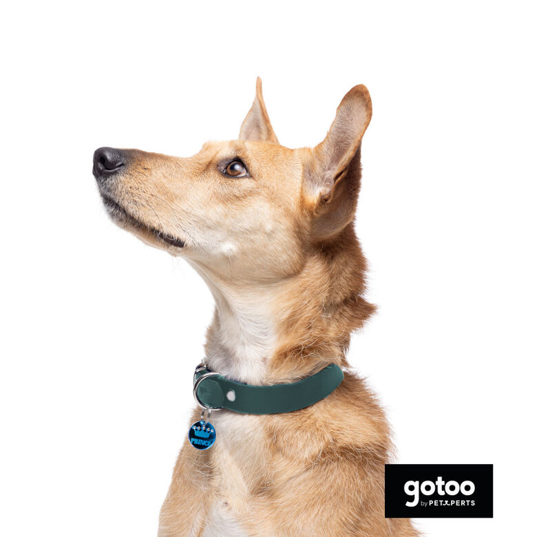 Gotoo Collar Biothane verde para perros thumbnail