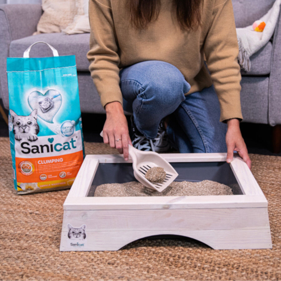 Sanicat Arena Aglomerante Vainilla y Mandarina thumbnail