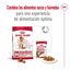 15 kg Royal Canin Medium 7+ Adult pienso para perros senior, , large indicador imagen numero 2