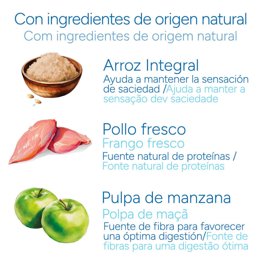 Criadores Cient&iacute;fico Adulto Maxi Pienso Pollo para perros, , large Imagen numero 5