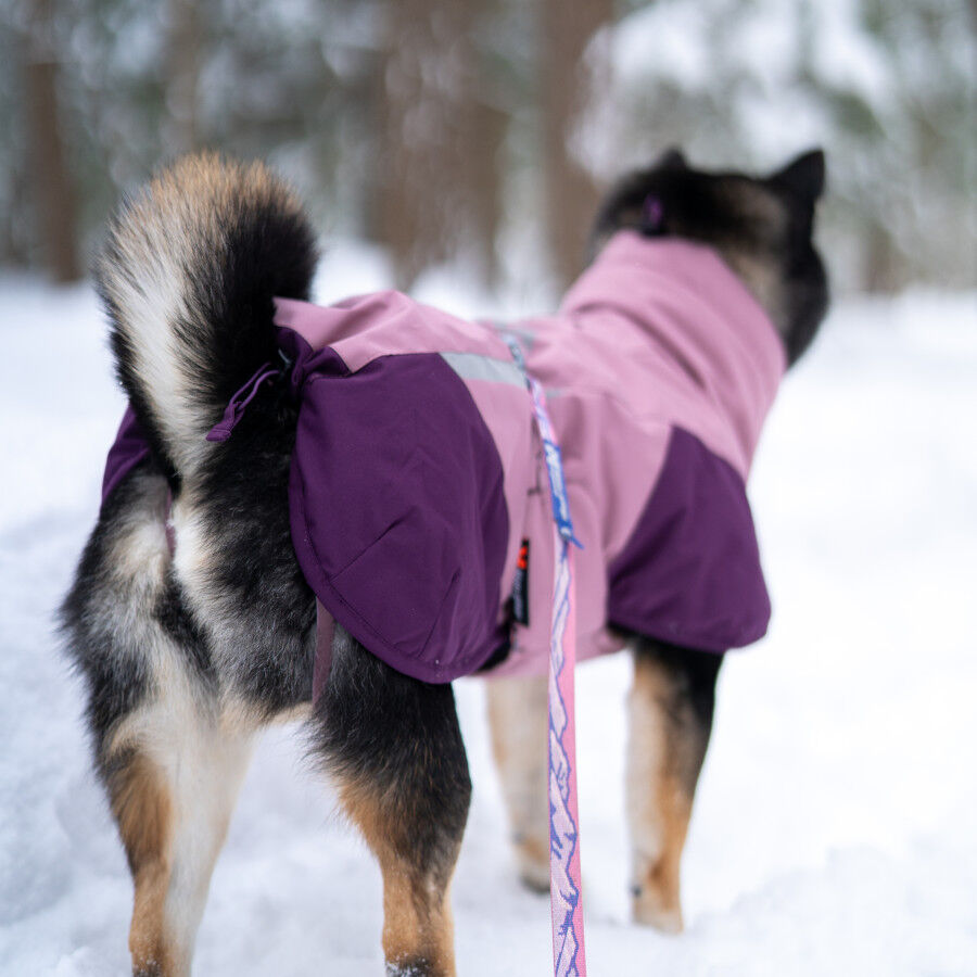 Non-stop Dogwear Chaqueta Malva para perros, , large Imagen numero 3