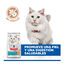 7 kg Hill's Science Plan Adult Hypoallergenic Huevo e Insecto pienso para gatos, , large indicador imagen numero 5