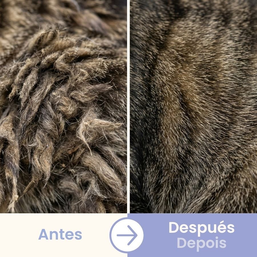 Bloob Peine Doble Cara para gatos, , large Imagen numero 5