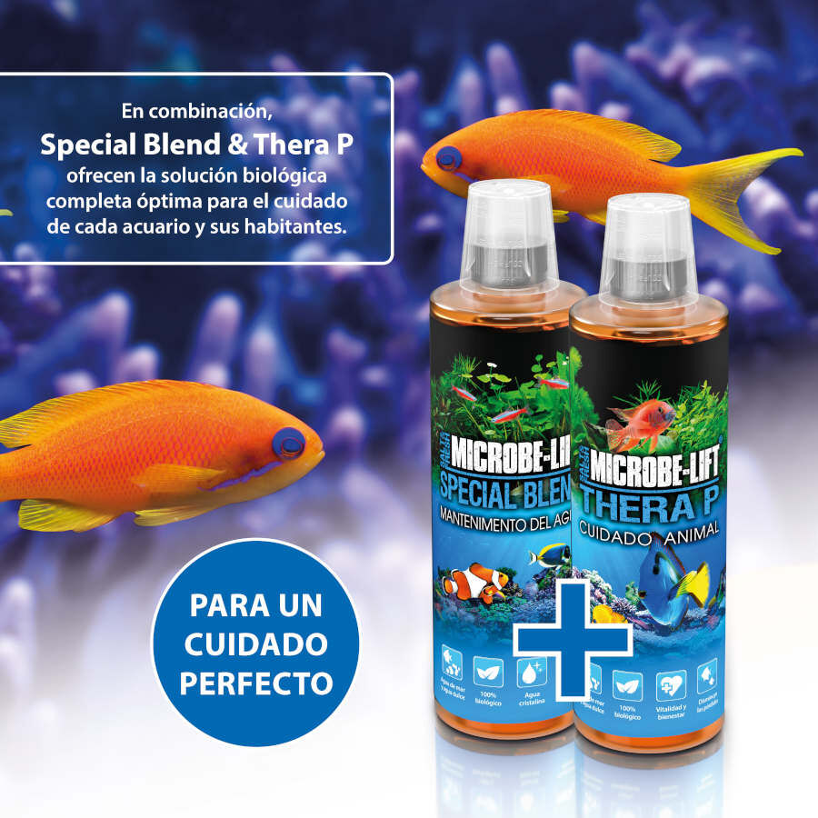 Microbe-Lift Thera P Animal Care Tratamiento de Bacterias para peces thumbnail