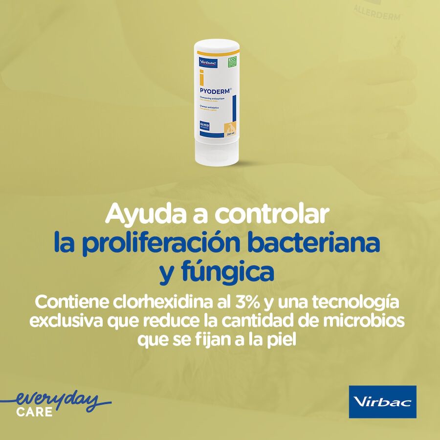 Virbac Pyoderm Champú Antiséptico Dermatológico para perros thumbnail