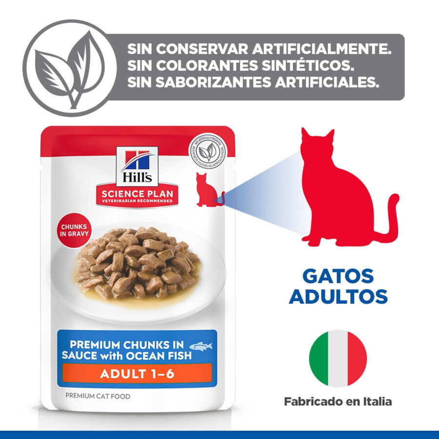 85 g Hill's Science Plan Adult Pescado sobre para gatos, , large Imagen numero 4