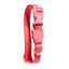 Zeedog Neopro Bubblegum Collar Rosa para Perros, , large indicador imagen numero 1