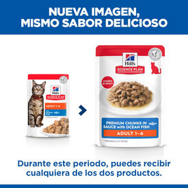 Hill's Science Plan Adult Pescado sobre para gatos
