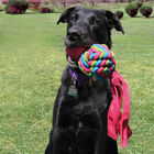 Kong Wubba Weaves juguete para perros, , large image number null