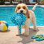 Summer Vibes Mantarraya Peluche  para perros, , large indicador imagen numero 1