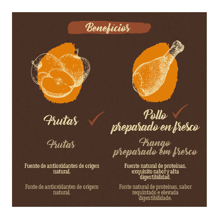 True Origins Pure Grain Free Adult Maxi Pollo pienso para perros thumbnail