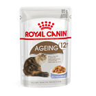 Royal Canin Senior +12 gelatina sobres para gatos  , , large image number null