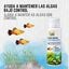 Small Life Algae Control para Acuarios, , large indicador imagen numero 2