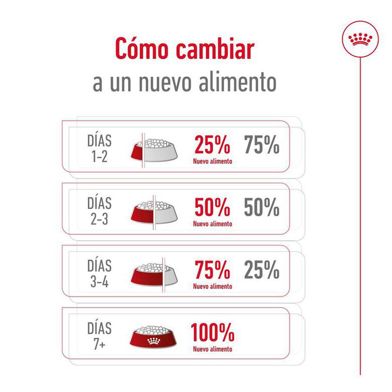 Royal Canin Maxi Ageing 8+ pienso para perros thumbnail