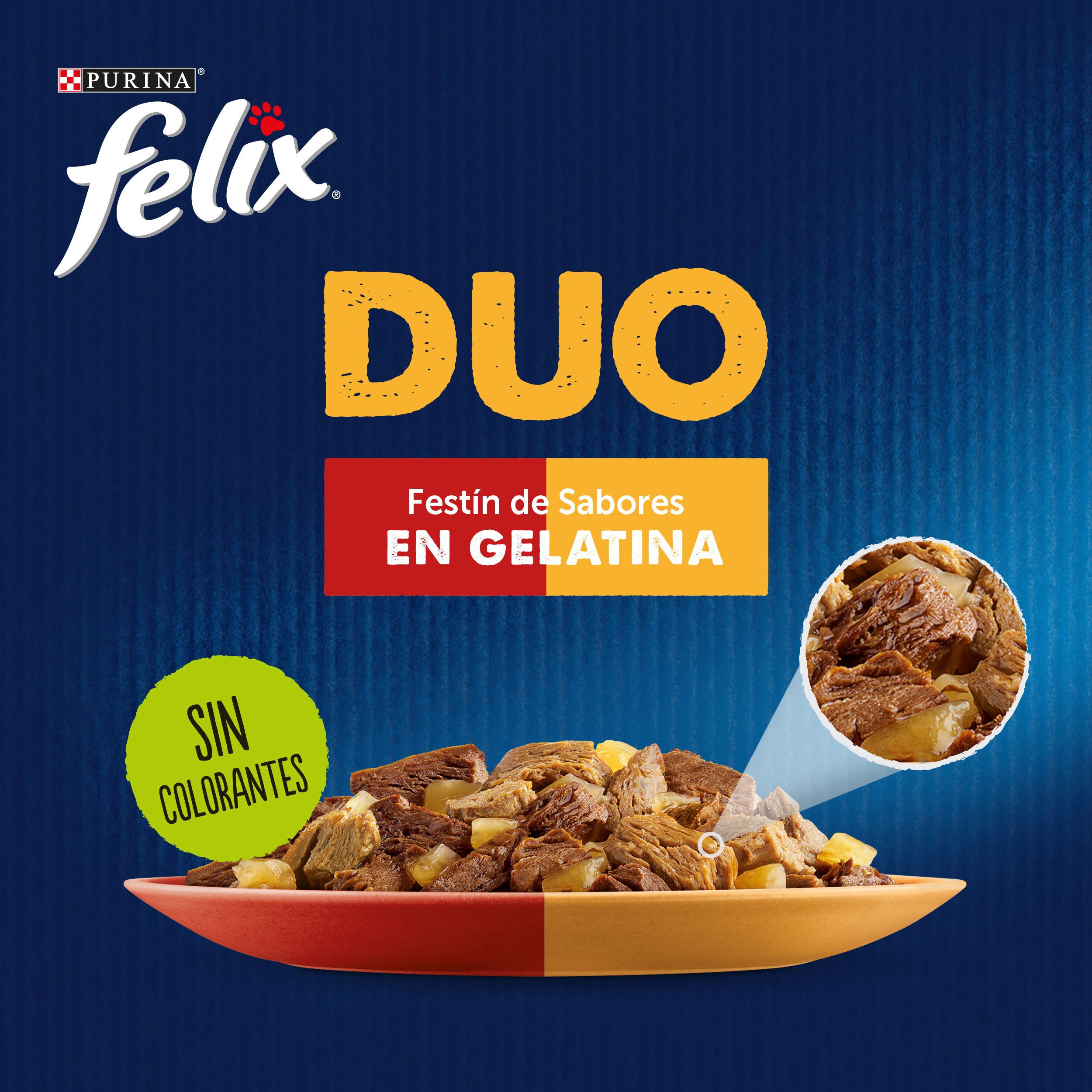 Felix Fantastic Duo Carne en Gelatina sobre para gatos thumbnail