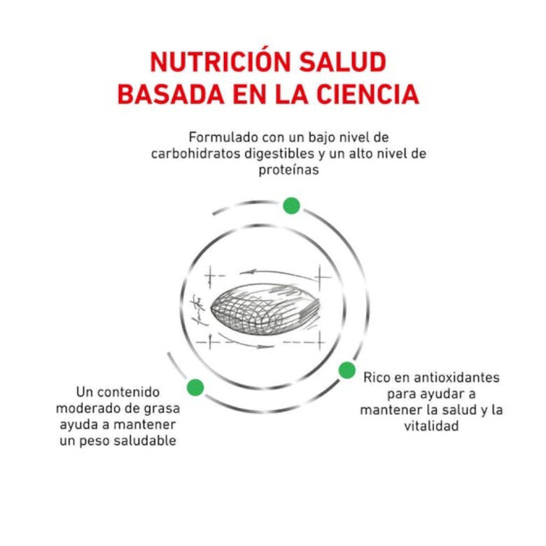 3.5 kg Royal Canin Veterinary Diabetic pienso para gatos,  Imagen numero 2 3.5 kg Royal Canin Veterinary Diabetic pienso para gatos, , large Imagen numero 2