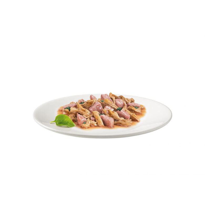 Gourmet Gold Pescado del Océano y Espinacas en salsa sobre para gatos thumbnail