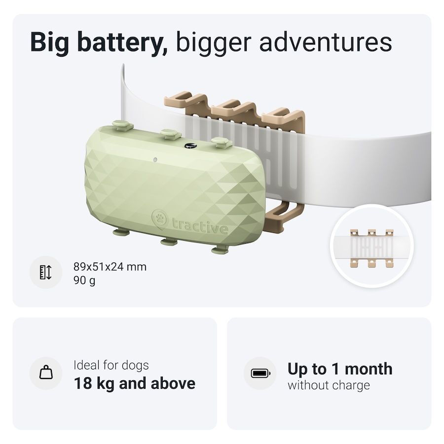 Tractive GPS Localizador XL para perros thumbnail