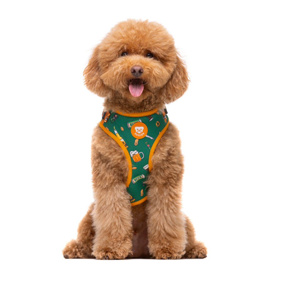 Dukier Beer Arnés Ajustable para perros thumbnail