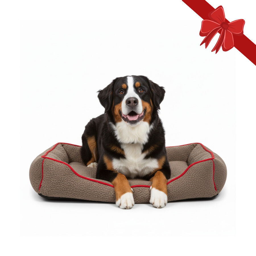 Wonder Christmas Cama Navideña Marrón y Roja para perros