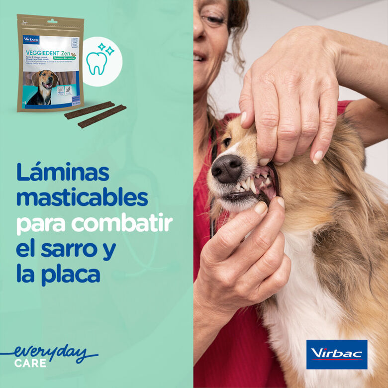 Virbac Láminas Veggiedent Zen M para perros thumbnail