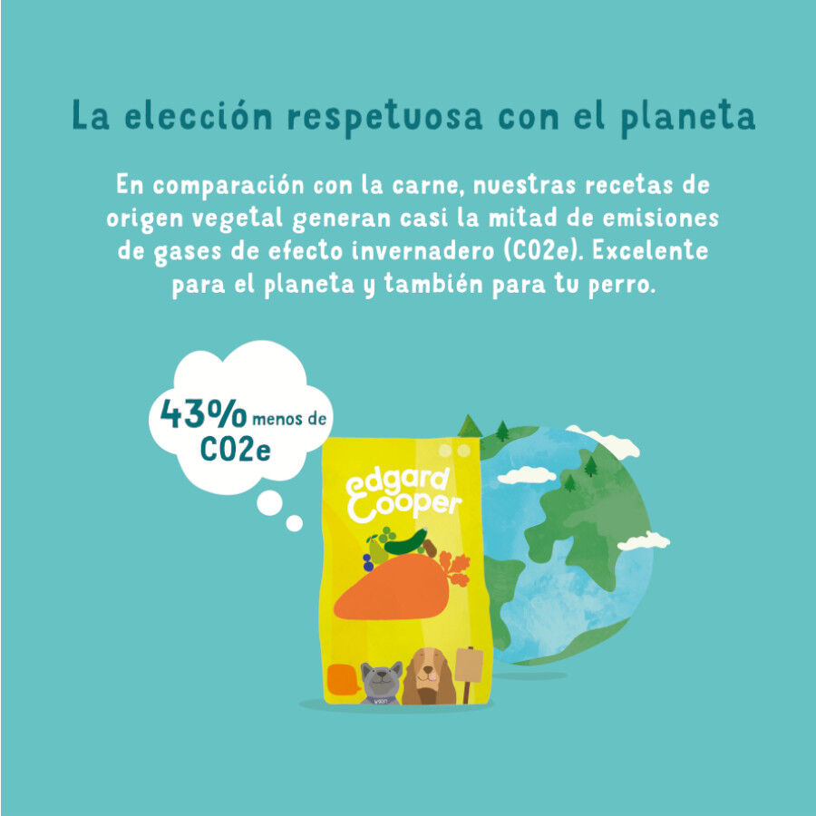 Edgard &amp; Cooper Zanahoria y Calabacín pienso para perros thumbnail