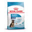 15 kg Royal Canin Puppy Maxi pienso para perros, , large indicador imagen numero 2