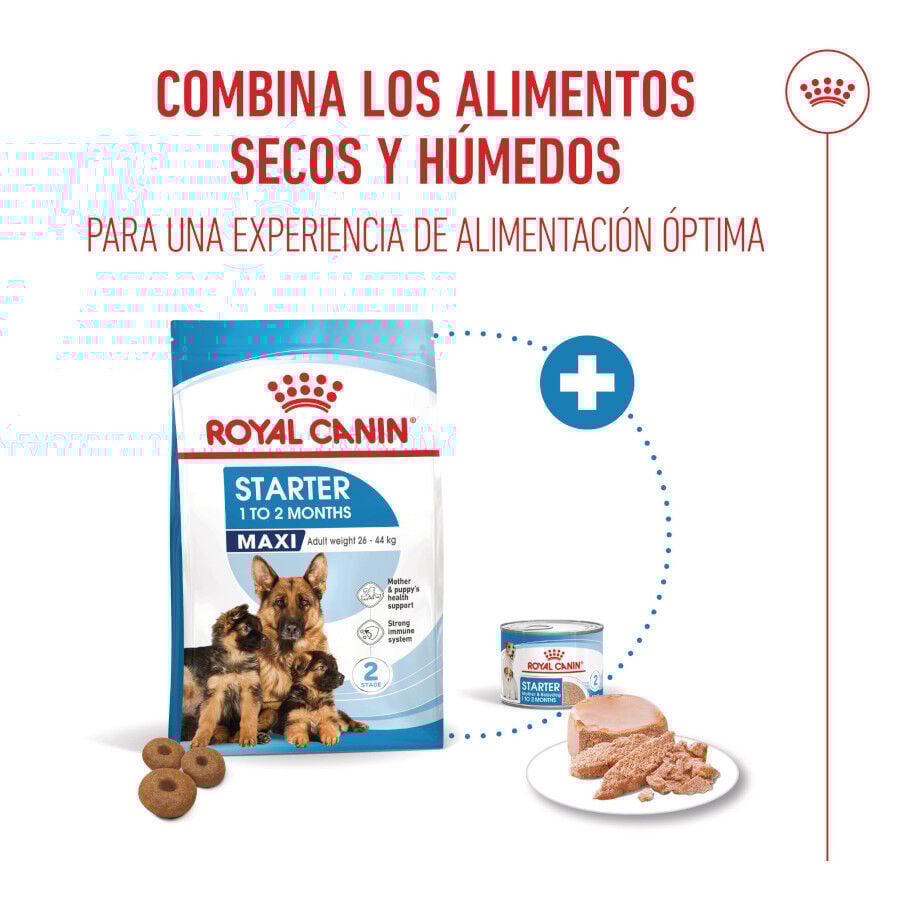 Royal Canin Starter MotheryBaby Maxi pienso para perros thumbnail