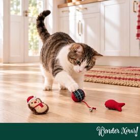 Wonder Christmas Set Erizos Juguete para gatos