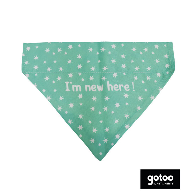 Gotoo Bandana estampada verde para perros,  Imagen numero 2 Gotoo Bandana estampada verde para perros, , large Imagen numero 2