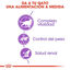 10 kg Royal Canin Sterilised 7+ pienso para gatos, , large indicador imagen numero 5