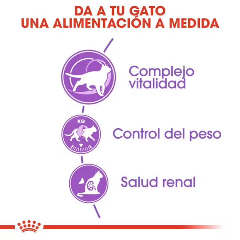 10 kg Royal Canin Sterilised 7+ pienso para gatos,  Imagen numero 5 10 kg Royal Canin Sterilised 7+ pienso para gatos, , large Imagen numero 5