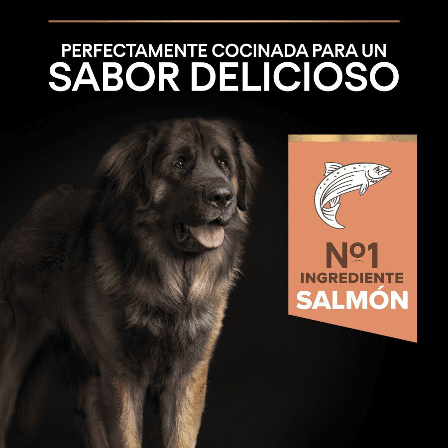 Pro Plan Adult Large Robust Salmón pienso para perros Piel Sensible thumbnail
