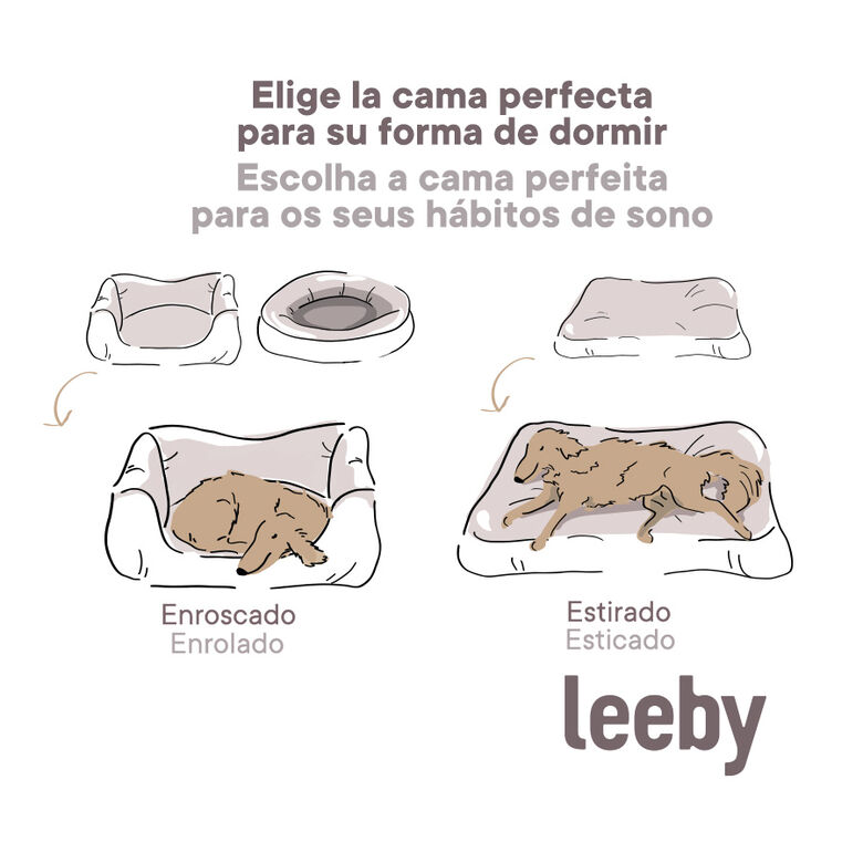 Leeby Cuna Desenfundable Beige Estampado Cómic para perros thumbnail