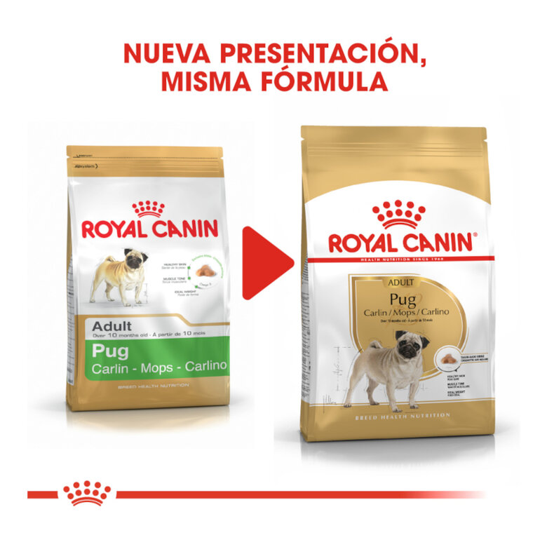 3 kg Royal Canin Adult Pug pienso para perros,  Imagen numero 3 3 kg Royal Canin Adult Pug pienso para perros, , large Imagen numero 3