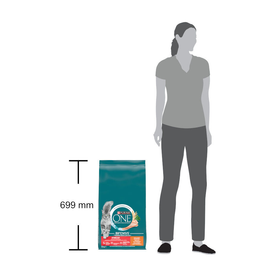 Purina ONE Adult Bifensis Esterilizado Pollo pienso para gatos thumbnail