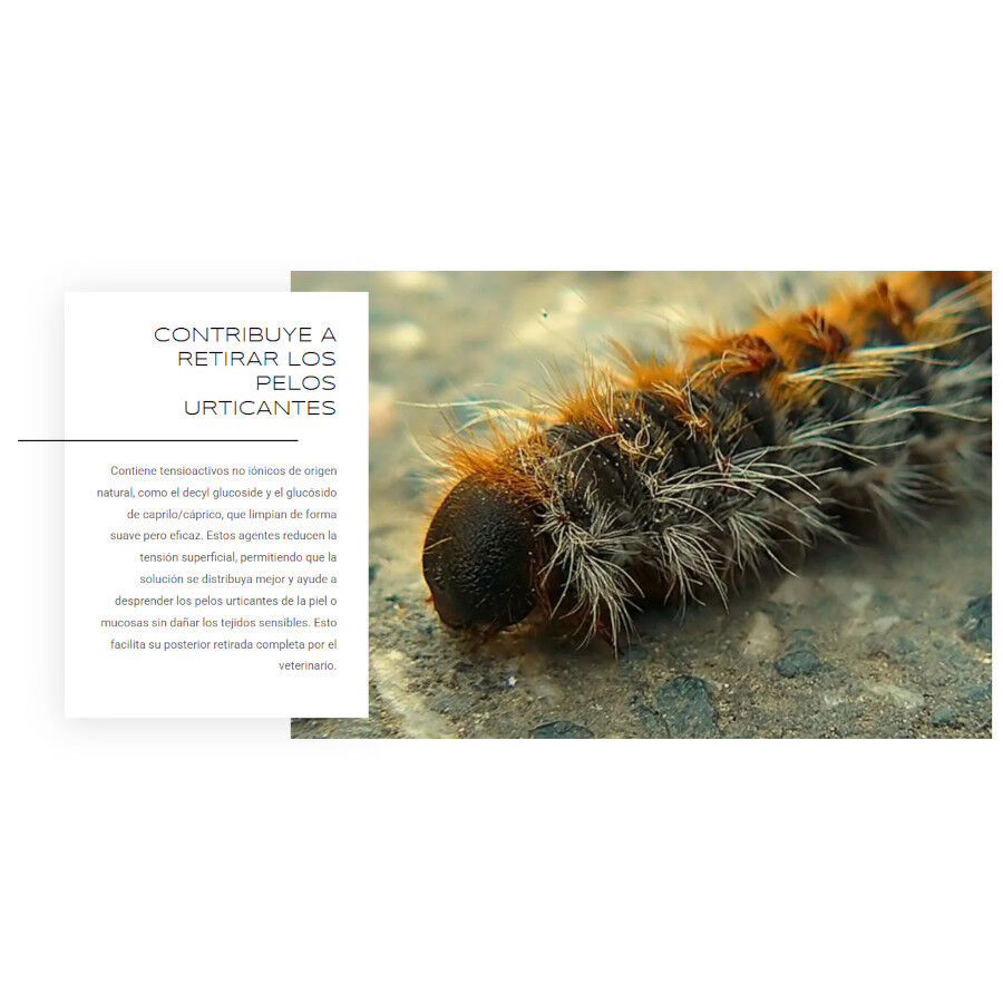 ProcesioFix Spray de Primeros Auxilios contra Procesionarias para Perros, , large Imagen numero 4