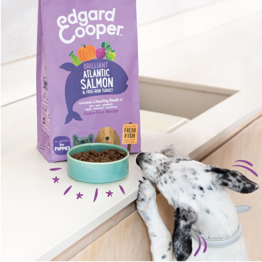 Edgard &amp; Cooper Puppy Salmón y Pavo pienso parra perros thumbnail