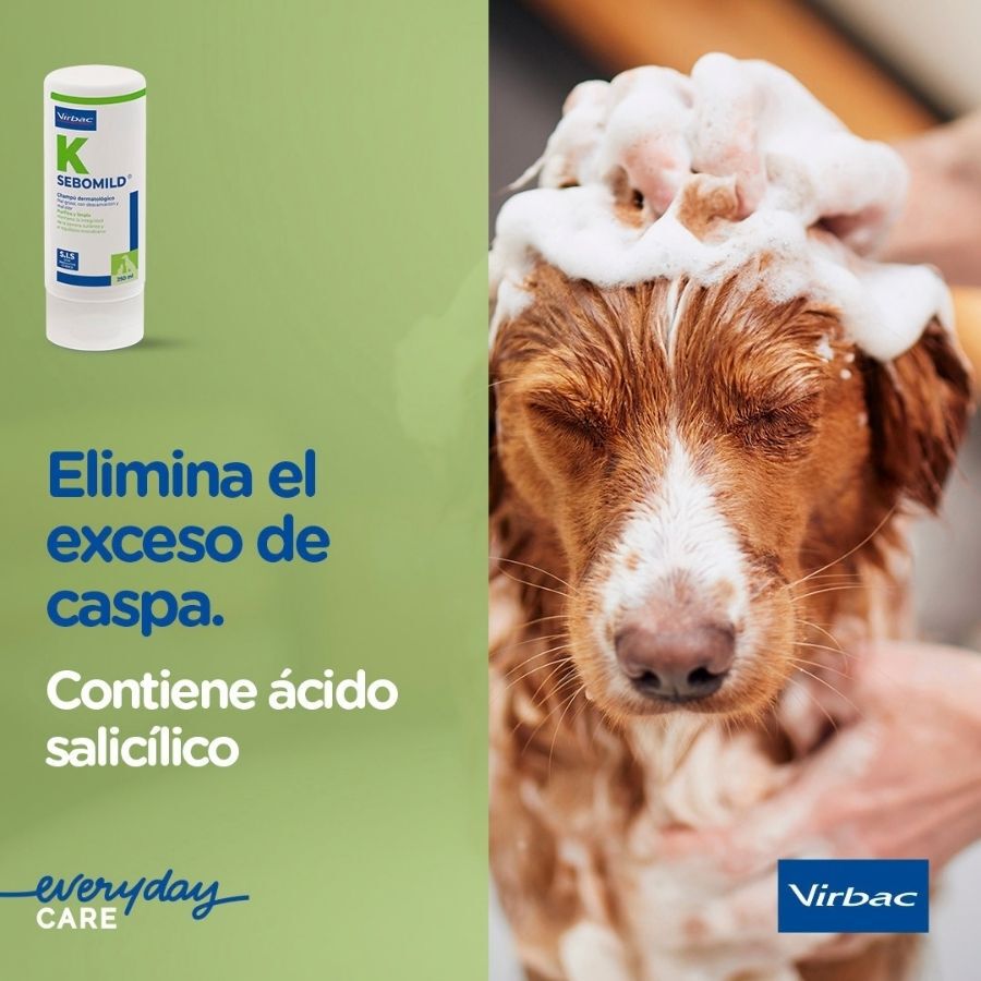 Virbac Sebomild Champ&uacute; para pieles grasas en perros y gatos, , large Imagen numero 5