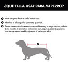 Outech Apolo Chubasquero Negro para perros, , large image number null