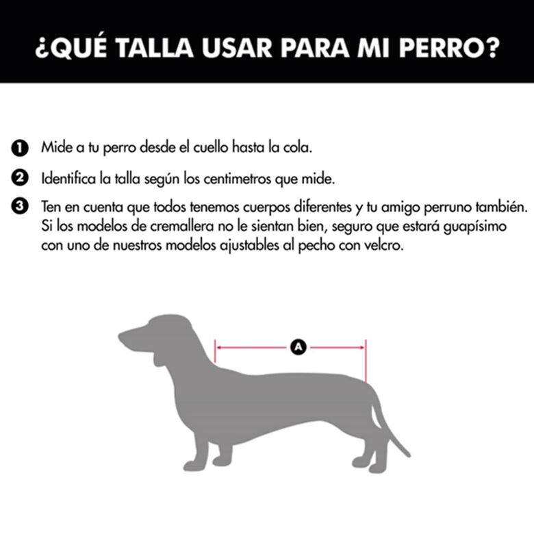 Outech Impermeable con Bolsillo Azul Marino para perros thumbnail