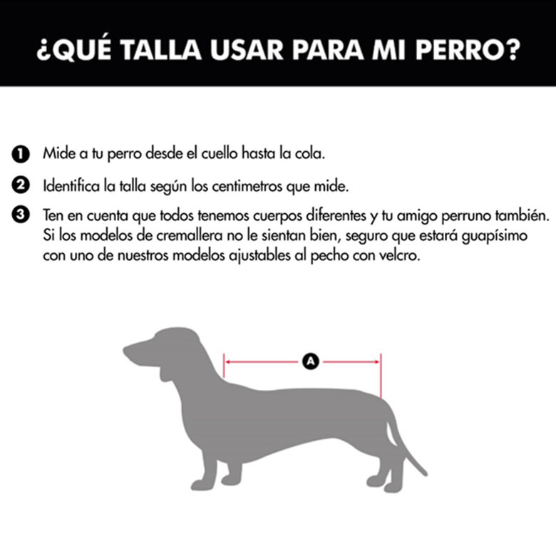 Outech Abrigo Estampado Vichy Azul para perros,  Imagen numero 8 Outech Abrigo Estampado Vichy Azul para perros, , large Imagen numero 8